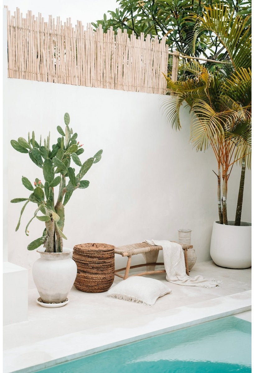 Porto Seegrasbank – Natur (Größe L)